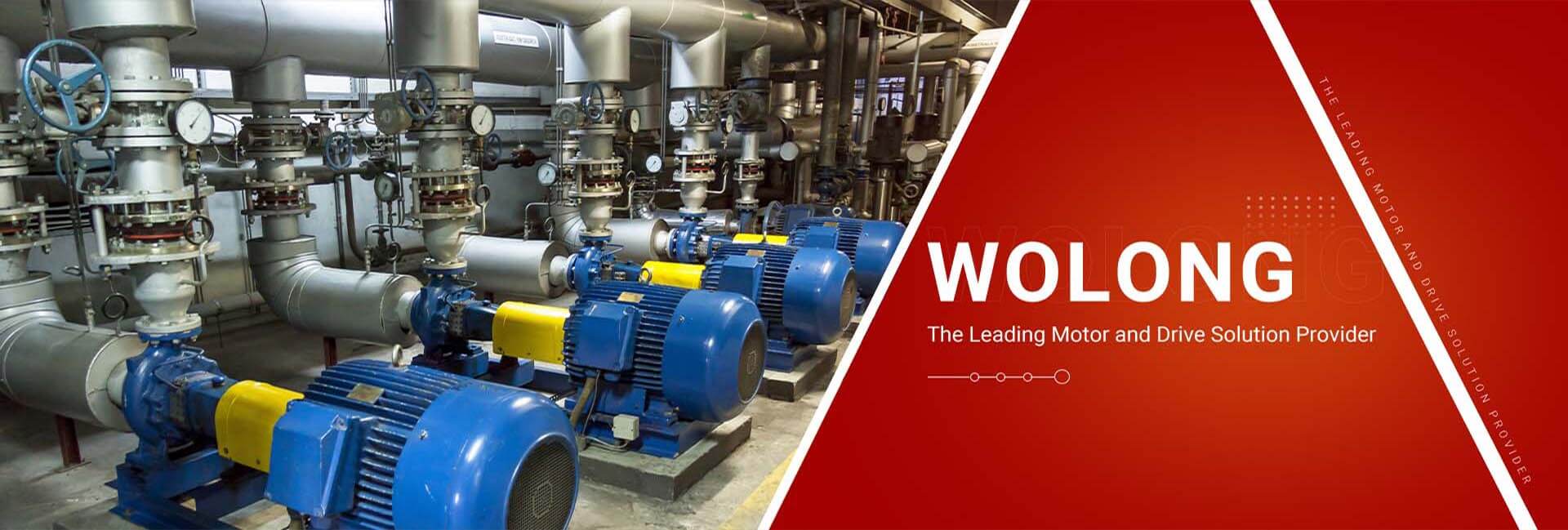 Wolong Nanyang explosion-proof motor